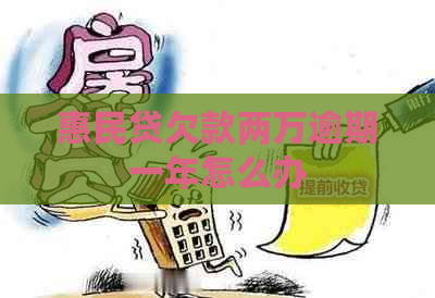 惠民贷欠款两万逾期一年怎么办