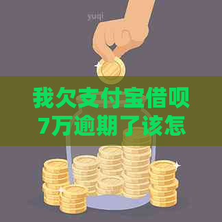 我欠支付宝借呗7万逾期了该怎么办