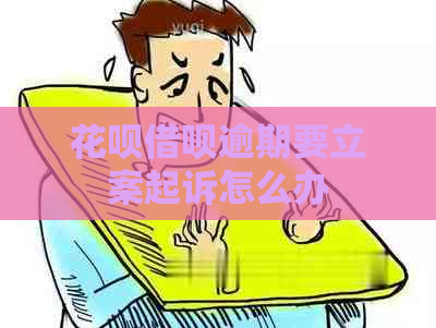 花呗借呗逾期要立案起诉怎么办