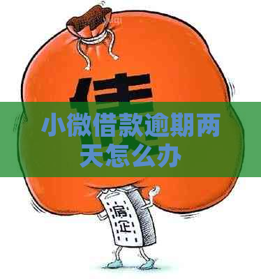 小微借款逾期两天怎么办