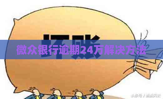 微众银行逾期24万解决方法