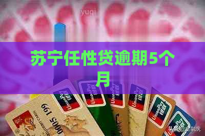 苏宁任性贷逾期5个月