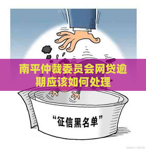 南平仲裁委员会网贷逾期应该如何处理