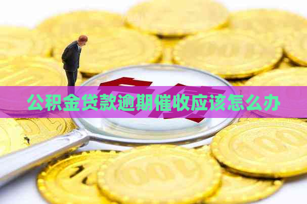 公积金贷款逾期应该怎么办