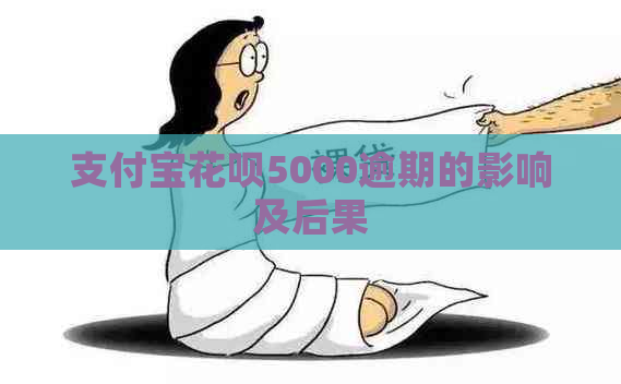 支付宝花呗5000逾期的影响及后果