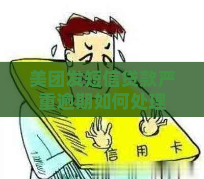 美团发短信贷款严重逾期如何处理