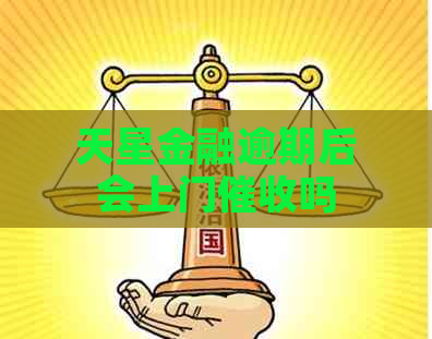 天星金融逾期后会上门吗