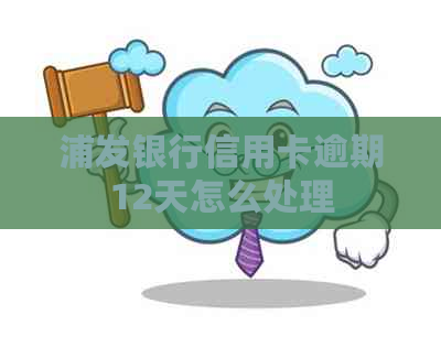 浦发银行信用卡逾期12天怎么处理