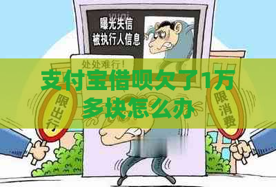 支付宝借呗欠了1万多块怎么办