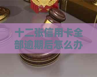 十二张信用卡全部逾期后怎么办