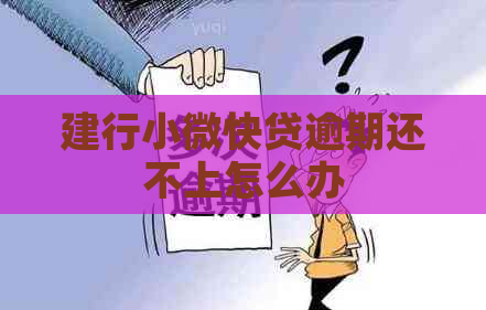 建行小微快贷逾期还不上怎么办