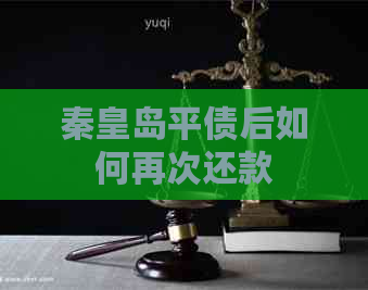 秦皇岛平债后如何再次还款