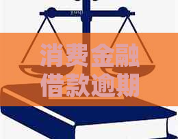 消费金融借款逾期后果