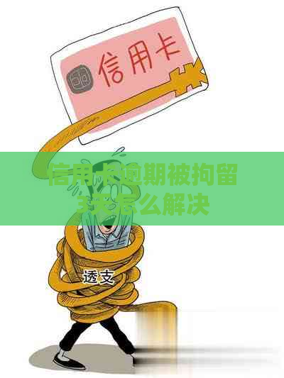 信用卡逾期被拘留3天怎么解决