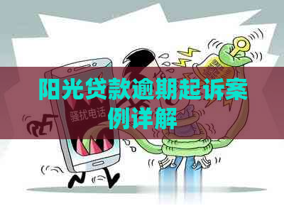 阳光贷款逾期起诉案例详解