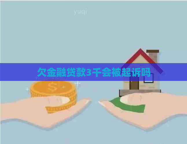 欠金融贷款3千会被起诉吗