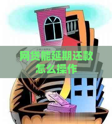 网贷能延期还款怎么操作