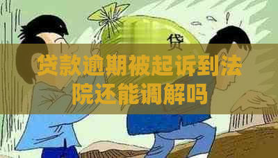 贷款逾期被起诉到法院还能调解吗