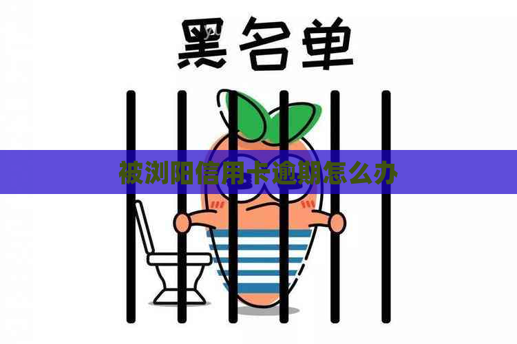 被浏阳信用卡逾期怎么办