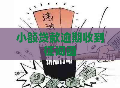 小额贷款逾期收到征询函