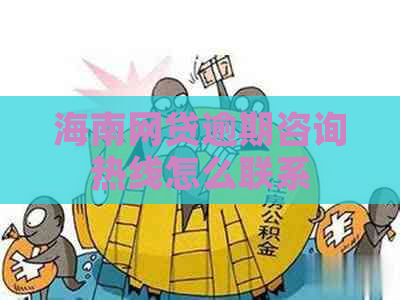 海南网贷逾期咨询热线怎么联系