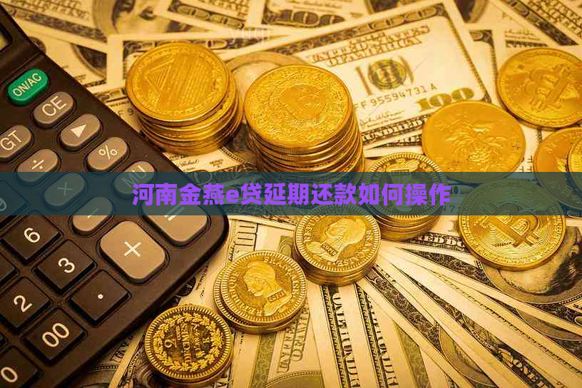 河南金燕e贷延期还款如何操作