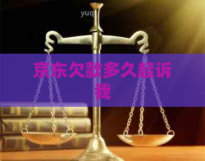 京东欠款多久起诉我