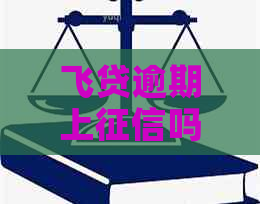 飞贷逾期上吗如何解决