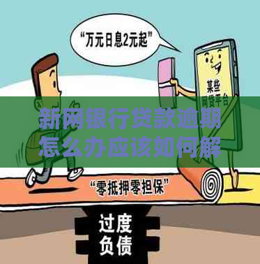 新网银行贷款逾期怎么办应该如何解决