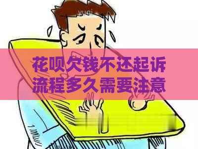 花呗欠钱不还起诉流程多久需要注意什么