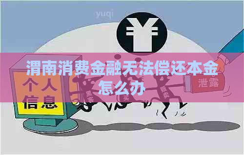 渭南消费金融无法偿还本金怎么办