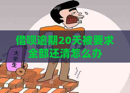 借呗逾期20天被要求全部还清怎么办