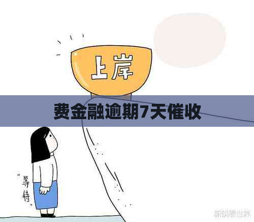 费金融逾期7天