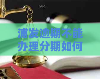 浦发逾期不能办理分期如何解决