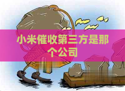 小米第三方是那个公司