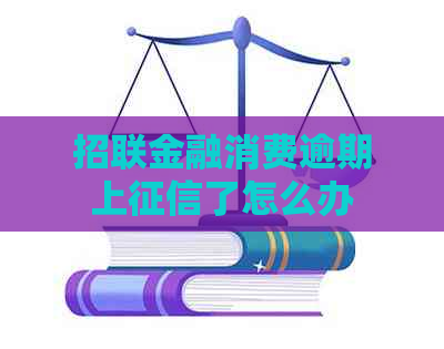 招联金融消费逾期上了怎么办