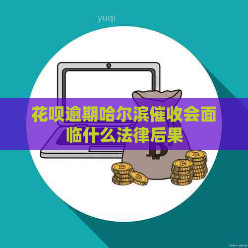 花呗逾期哈尔滨会面临什么法律后果