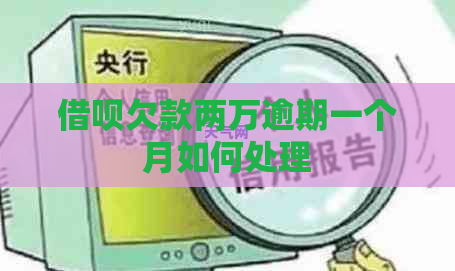 借呗欠款两万逾期一个月如何处理