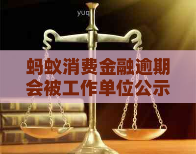 蚂蚁消费金融逾期会被工作单位公示吗