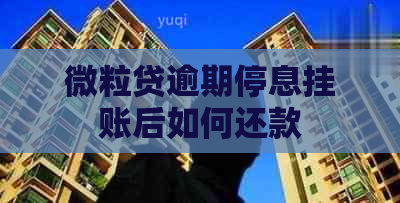 微粒贷逾期停息挂账后如何还款