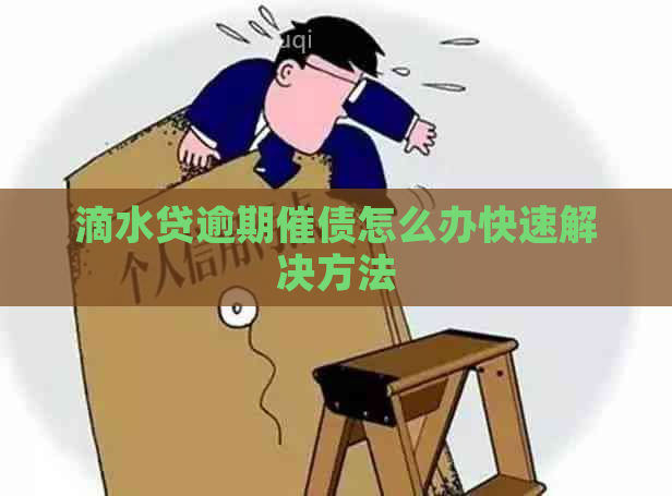 滴水贷逾期催债怎么办快速解决方法