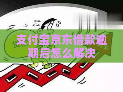 支付宝京东借款逾期后怎么解决