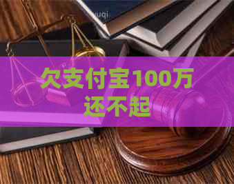 欠支付宝100万还不起