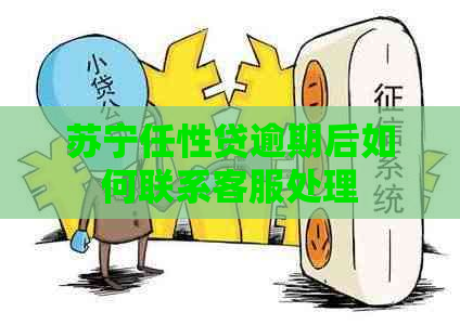 苏宁任性贷逾期后如何联系客服处理