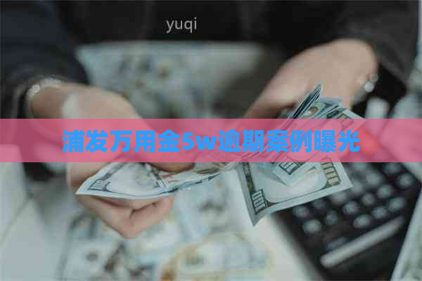 浦发万用金5w逾期案例曝光