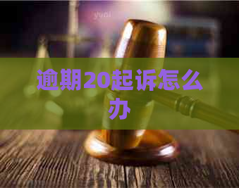 逾期20起诉怎么办