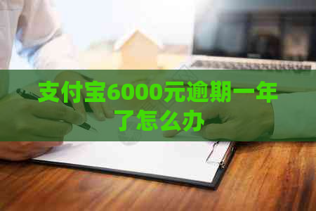 支付宝6000元逾期一年了怎么办