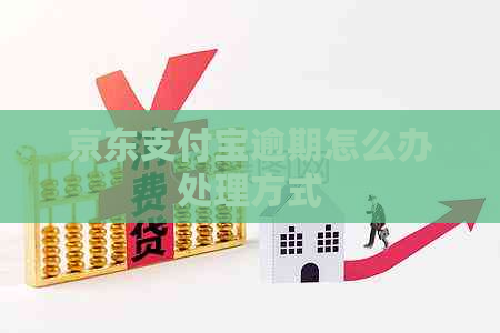 京东支付宝逾期怎么办处理方式