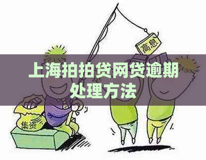 上海网贷逾期处理方法