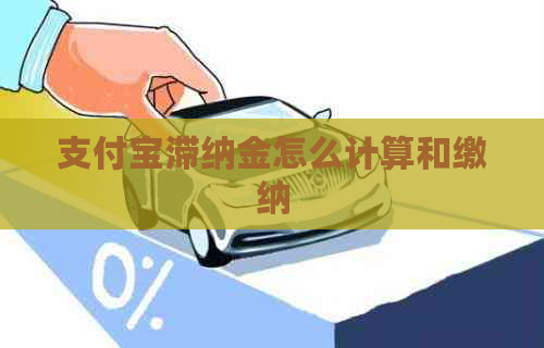 支付宝滞纳金怎么计算和缴纳